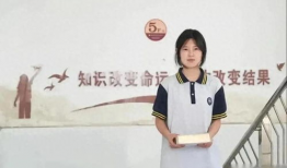 日本性插视频,一场禁忌的视觉盛宴